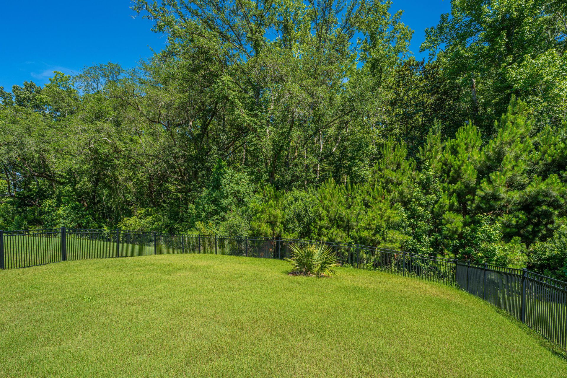 5077 Song Sparrow Way Photo 25