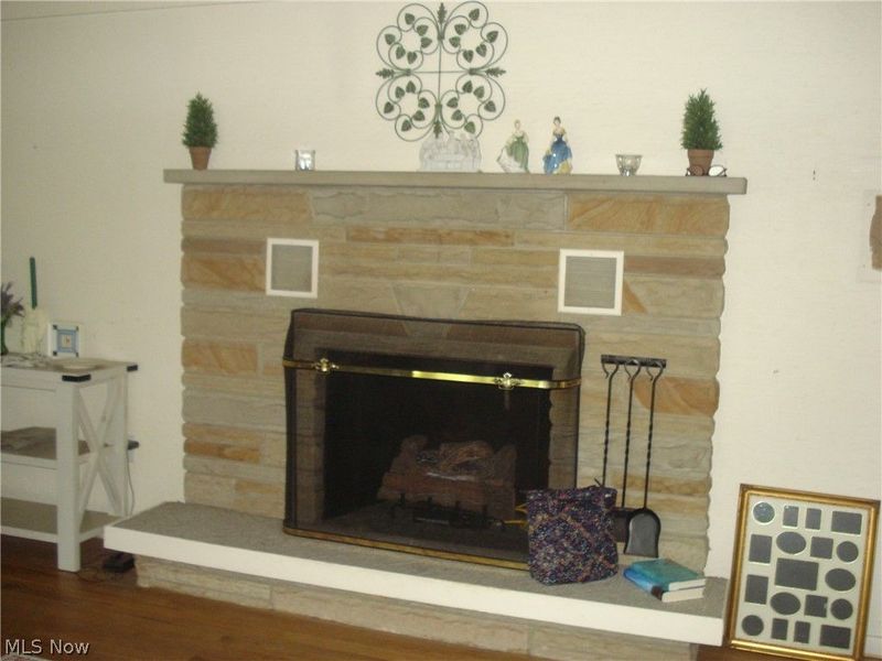 7342 Hopkins Road, Mentor, OH 44060 Photo 2