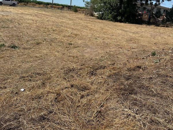 13933 E Kettleman Ln, Lodi, CA 95240