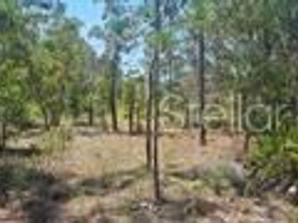 000 NE 67TH LANE , BRONSON, FL 32621