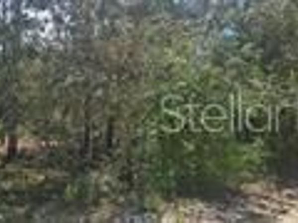 000 NE 67 STREET, BRONSON, FL 32621