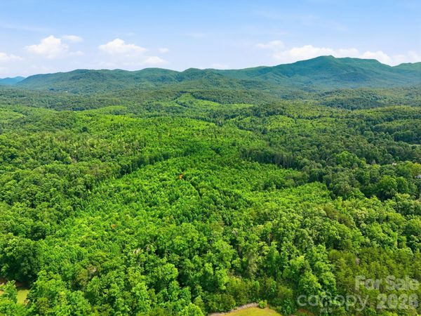 2301 Parker Padgett Road, Old Fort, NC 28762