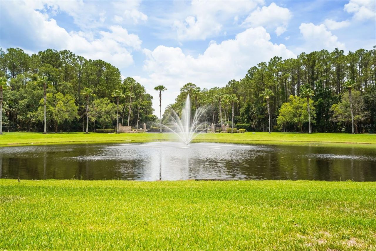 1699 Swallowtail Lane , Sanford, FL 32771 Photo