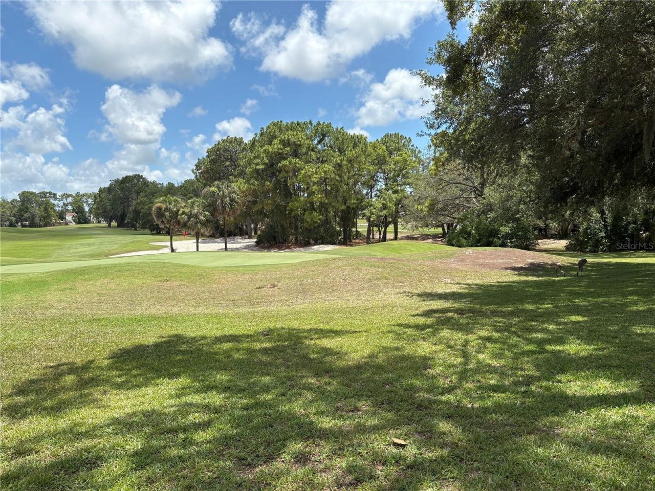 9450 Mississippi Run, Weeki Wachee, FL 34613 Photo