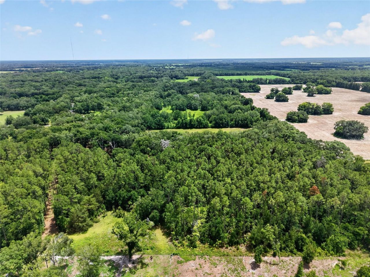 000 W Newberry Road, Newberry, FL 32669 Photo