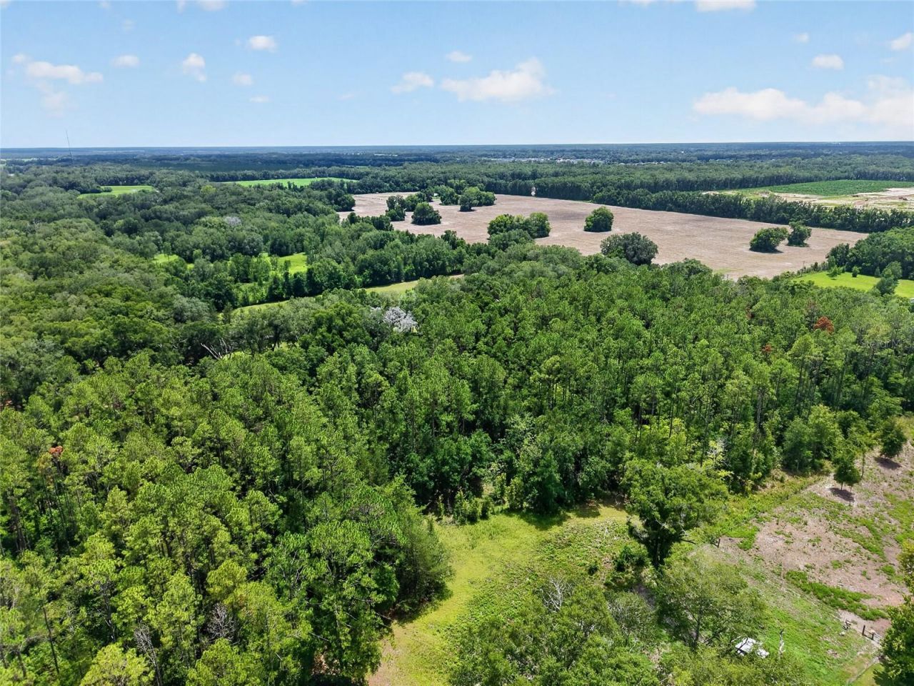 000 W Newberry Road, Newberry, FL 32669 Photo