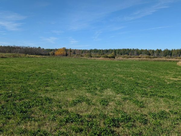 10211 Leander Road, Angora, MN 55703