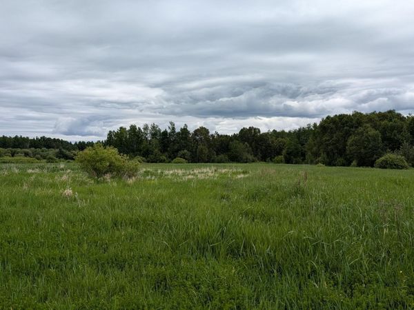 10211 Leander Road , Angora, MN 55703