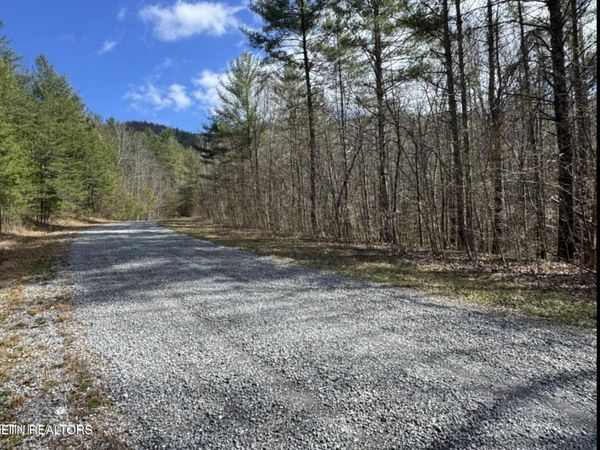 Cougar Trail Tr, Del Rio, TN 37727