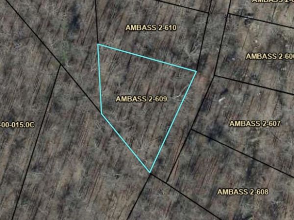 Lot 609 Ambassador Shores , Leitchfield, KY 42757