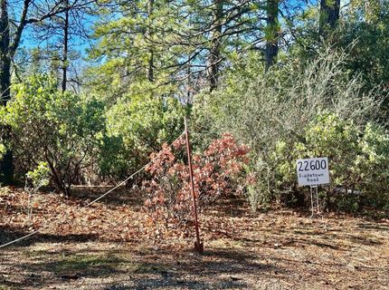 22600 Fiddletown Rd, Volcano, CA 95689 Photo