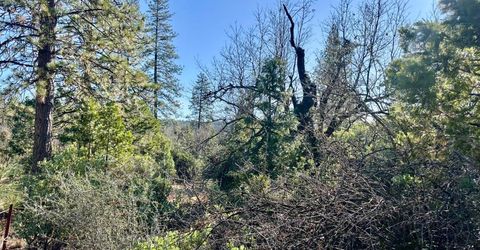 22600 Fiddletown Rd, Volcano, CA 95689 Photo