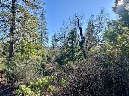 22600 Fiddletown Rd, Volcano, CA 95689 Photo