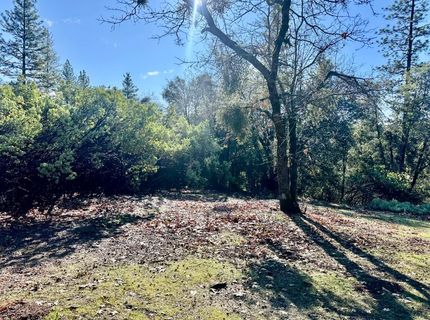 22600 Fiddletown Rd, Volcano, CA 95689 Photo
