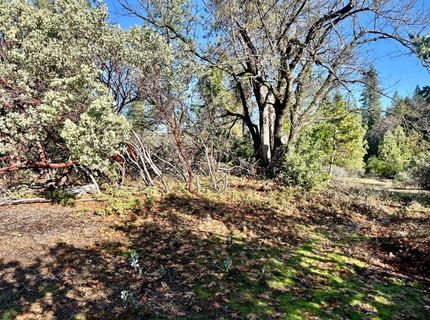 22600 Fiddletown Rd, Volcano, CA 95689 Photo