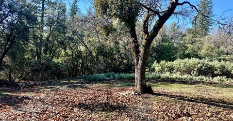 22600 Fiddletown Rd, Volcano, CA 95689 Photo