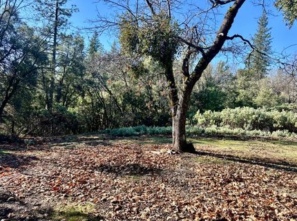 22600 Fiddletown Rd, Volcano, CA 95689 Photo