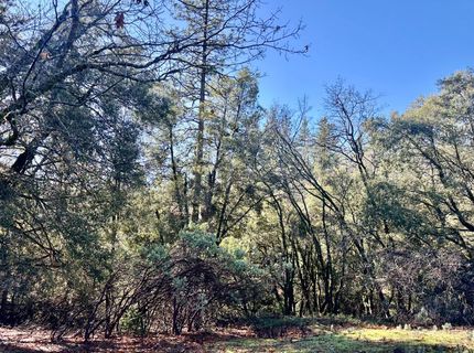 22600 Fiddletown Rd, Volcano, CA 95689 Photo