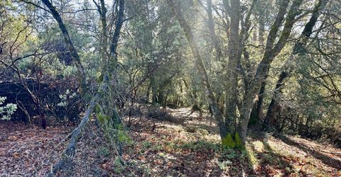 22600 Fiddletown Rd, Volcano, CA 95689 Photo