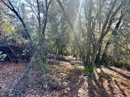 22600 Fiddletown Rd, Volcano, CA 95689 Photo