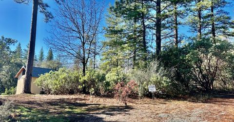 22600 Fiddletown Rd, Volcano, CA 95689 Photo