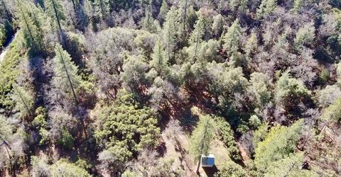 22600 Fiddletown Rd, Volcano, CA 95689 Photo