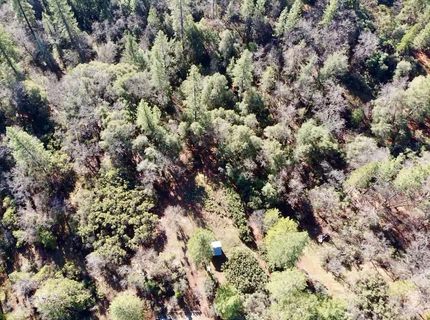 22600 Fiddletown Rd, Volcano, CA 95689 Photo
