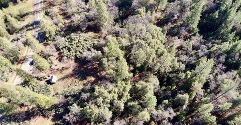 22600 Fiddletown Rd, Volcano, CA 95689 Photo