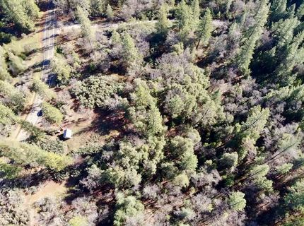 22600 Fiddletown Rd, Volcano, CA 95689 Photo
