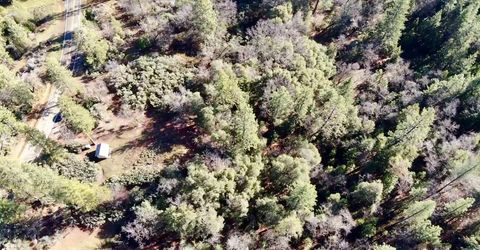 22600 Fiddletown Rd, Volcano, CA 95689 Photo