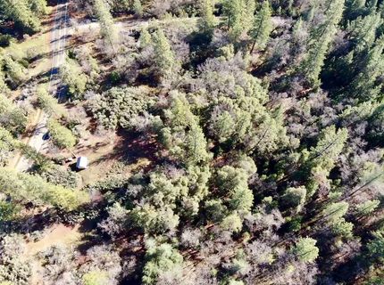 22600 Fiddletown Rd, Volcano, CA 95689 Photo
