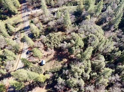 22600 Fiddletown Rd, Volcano, CA 95689 Photo