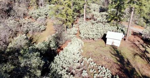 22600 Fiddletown Rd, Volcano, CA 95689 Photo