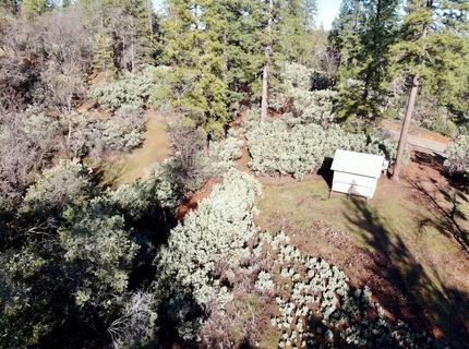 22600 Fiddletown Rd, Volcano, CA 95689 Photo
