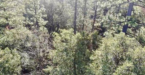 22600 Fiddletown Rd, Volcano, CA 95689 Photo