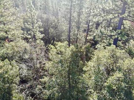 22600 Fiddletown Rd, Volcano, CA 95689 Photo