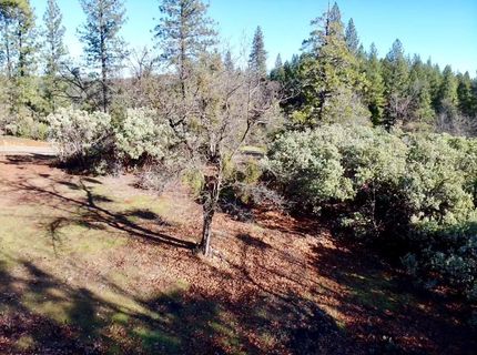 22600 Fiddletown Rd, Volcano, CA 95689 Photo