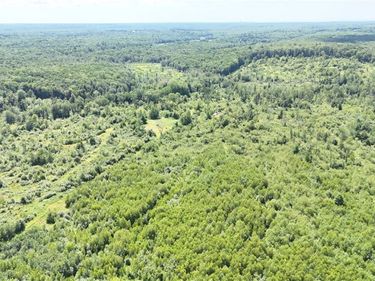 S Albion, Albion, NY 13062