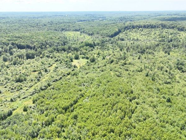 S Albion, Albion, NY 13062