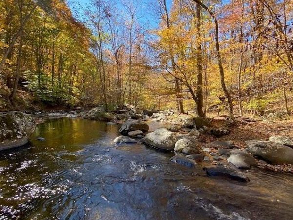 39 Rogers Creek Drive, Bakersville, NC 28705