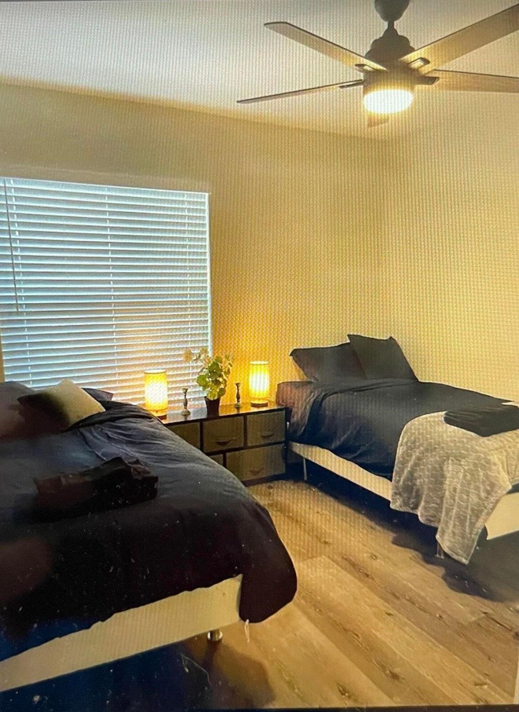 1799 Shower Tree Way, Wellington, FL 33414 Photo