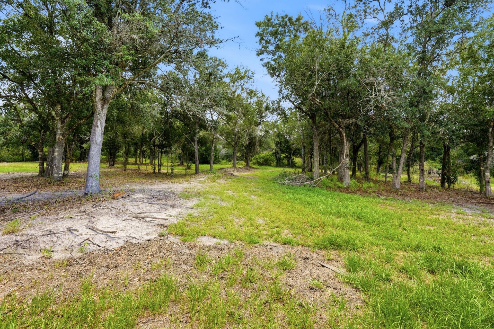 17381 NW 262nd Street, Okeechobee, FL 34972 Photo