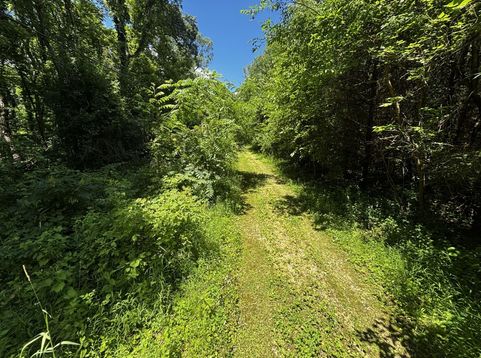 Main Photo