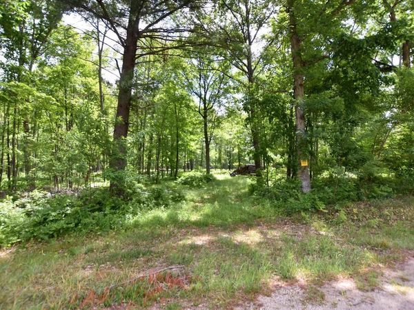 COUNTY ROAD U, Weyauwega, WI 54983