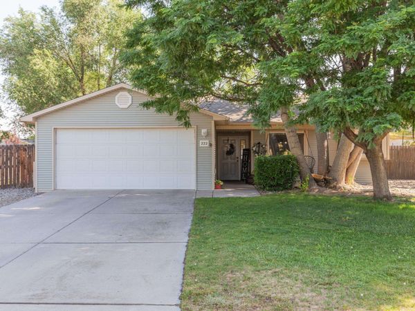 222 S Park Court, Fruita, CO 81521