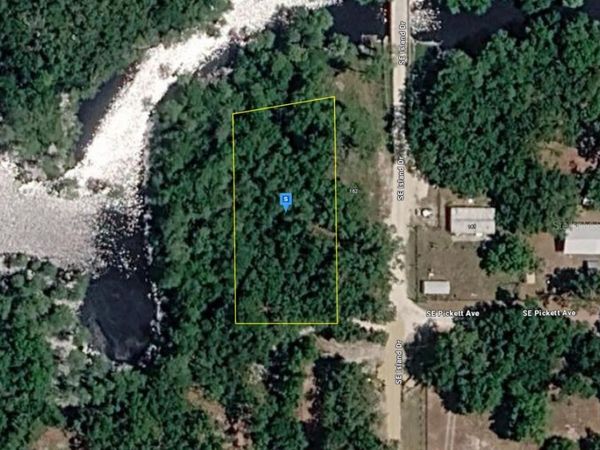 160 SE ISLAND DRIVE , BRANFORD, FL 32008