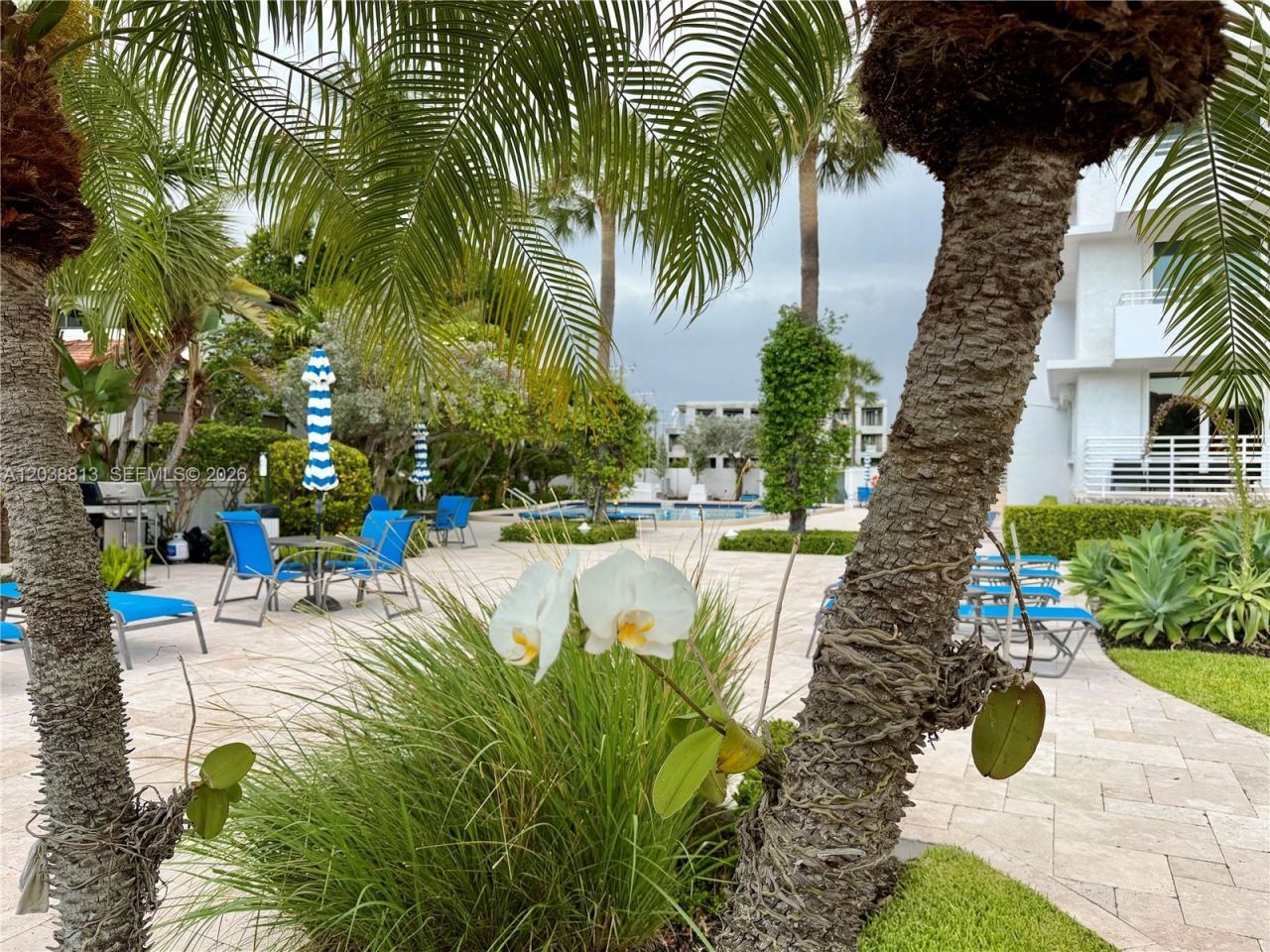 888 Intracoastal Dr, Unit 15E, Fort Lauderdale, FL 33304 Photo