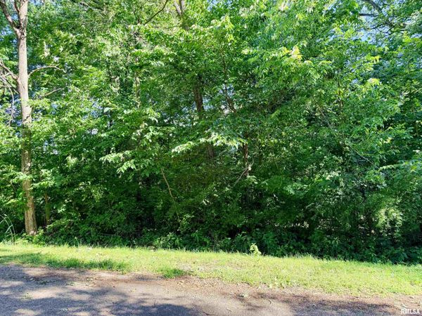229 KICKAPOO Court, Hopewell, IL 61565