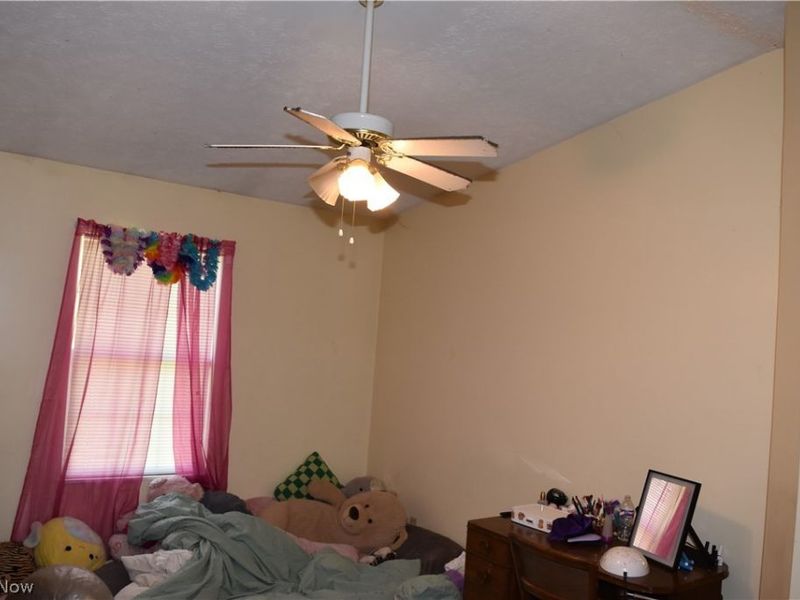 3595 & 3597 W 36th Street, Shadyside, OH 43947 Photo 20