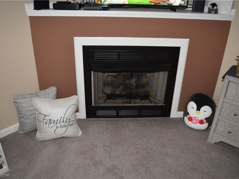 3595 & 3597 W 36th Street, Shadyside, OH 43947 Photo 7